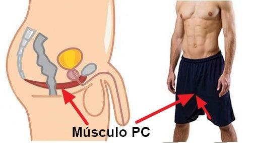 Ejercicios de Kegel para hombres